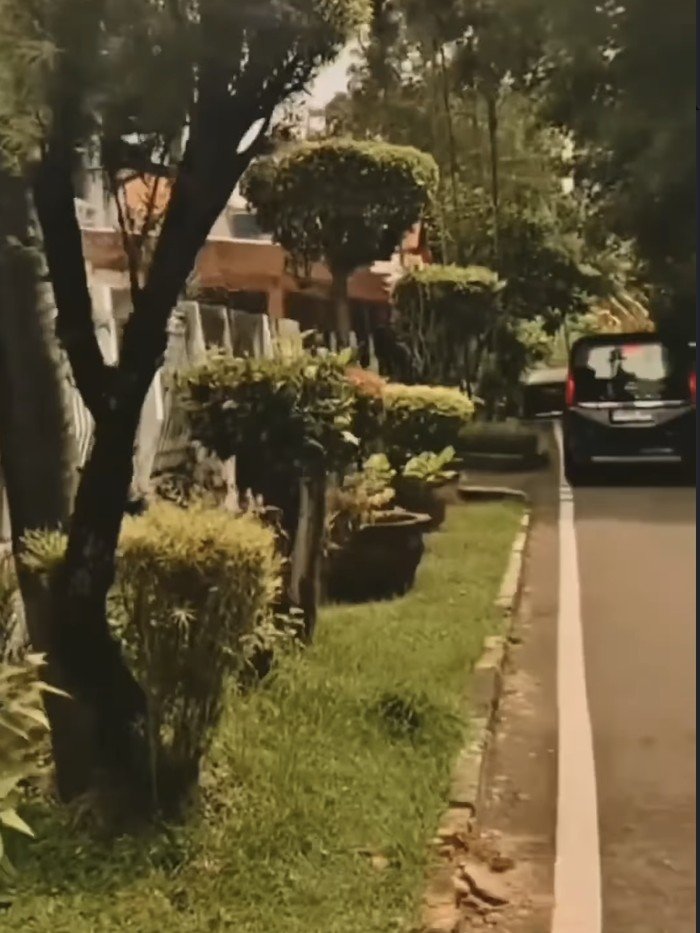 Foto: dok instagram Aldi Taher